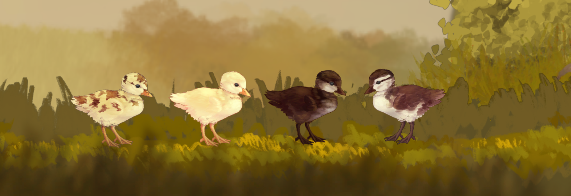 the ducklings