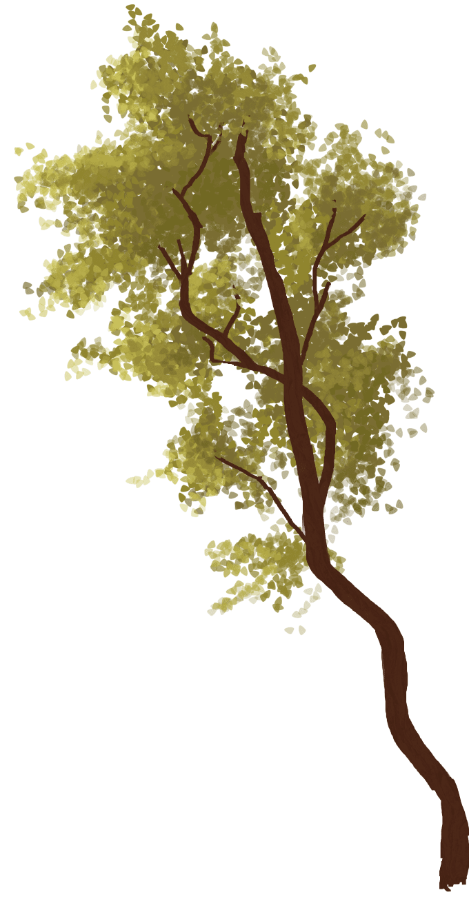 a tree